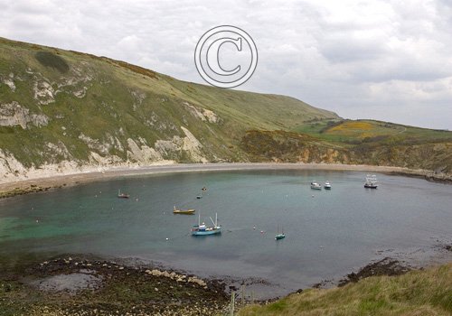 Lulworth Cove Dorset DM0149